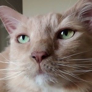 Meet your Posher, Bonnie